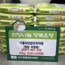 가톨릭연합안과