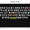 한동훈장관 집 앞 흉기․점화용 토치 발견 😡 이미지