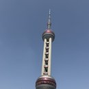 나이스마트대신점 | 사사상하이 후기 part.1 (부제 : 흔한 듯 흔하지 않은 선택을 한 자들...일단 읽어봐요)