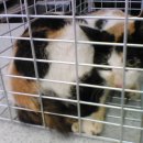 홍제2동 주민센터 이미지