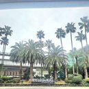 (주)청안메디칼코퍼레이션 이미지