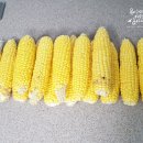 정성든농장