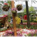 일산3리 이미지