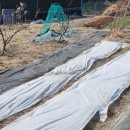 한삼농장 이미지