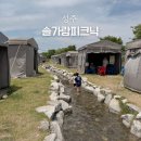 캠핑홀리데이 성주오토캠핑장 | 성주 솔가람피크닉 대구근교 키즈캠핑장 당일치기 물놀이