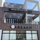 언양동물병원 | [울산] 언양 동물병원 추천 '문동물병원' 고양이 건강검진 솔직 후기