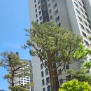 중앙동115 이미지