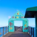 마린수중 이미지