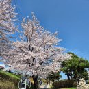 남대천강릉교밑 이미지