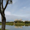 동대전약국 이미지