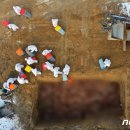 조태형농장 이미지