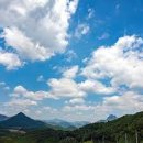 서울시설공단(서울추모공원) 네이버블로그