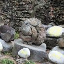 삼신농장 이미지