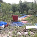 중앙탑면사무소 이미지