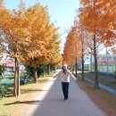 진주여인숙 이미지