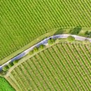 베스트팜 이미지