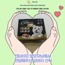 시저사 이미지
