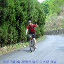 분당-300 이미지