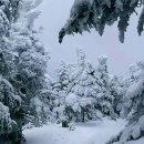 미용사 자격증 실기 - 피부 이미지