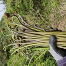 금당목장 이미지