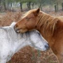 윤그루밍 이미지