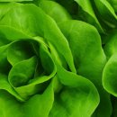 주식회사 그린환경 이미지