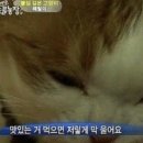 광광다방 이미지