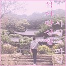 지니어스디(D) 이미지