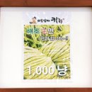 바보엄마칼국수 네이버블로그