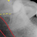 세종스타치과의원 이미지