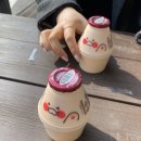 대학생 일상::(4-1)3월 취준| 삼성 자소서 쓰느라 죽을뻔했다