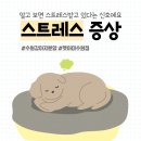 AMI PET 이미지