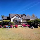 보헤미안 블루 이미지