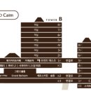소노캄 델피노 A . B 이미지
