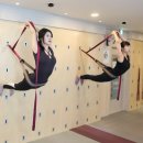 테라피요가(고급) 이미지