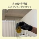 서산 브라질리언왁싱 은요뷰티 저자극 슈가링왁싱 후기 저통증이라 만족!