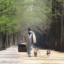 동구리호수공원잔디광장 이미지