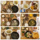 엘리움병원 | 해운대 엘리움 산후조리원 디럭스룸 찐 후기👍