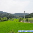 구도리 태양광발전소 네이버블로그