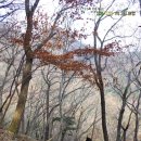 1박 2일 남도여행- 강진 가볼 만한 곳, 백련사( 다산 정약용 남도 유배길 2코스)