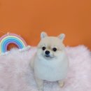 상일축산 이미지