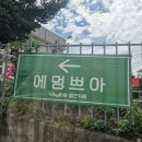 에멍쁘아 | 대구 근교 애견카페 : 에멍쁘아 (영천 애견카페)