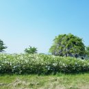 군북면공설운동장 이미지