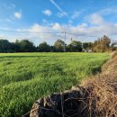 제주올레공인중개사사무소 이미지