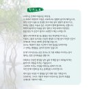 청암/김지무(대한민국 사진 축전) 이미지