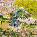 대웅카서비스 이미지