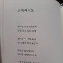 바지랑대 이미지