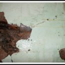 건승약국 이미지