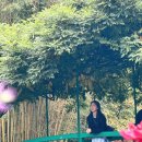 반딧불민박 | 2024년 10월 18일. 한국에서 파리까지(2) 여자혼자 파리여행, 나홀로파리