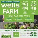 모종샐러드